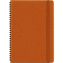 Gizli Spiralli Defter