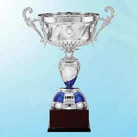 Kupalar ve Madalyalar